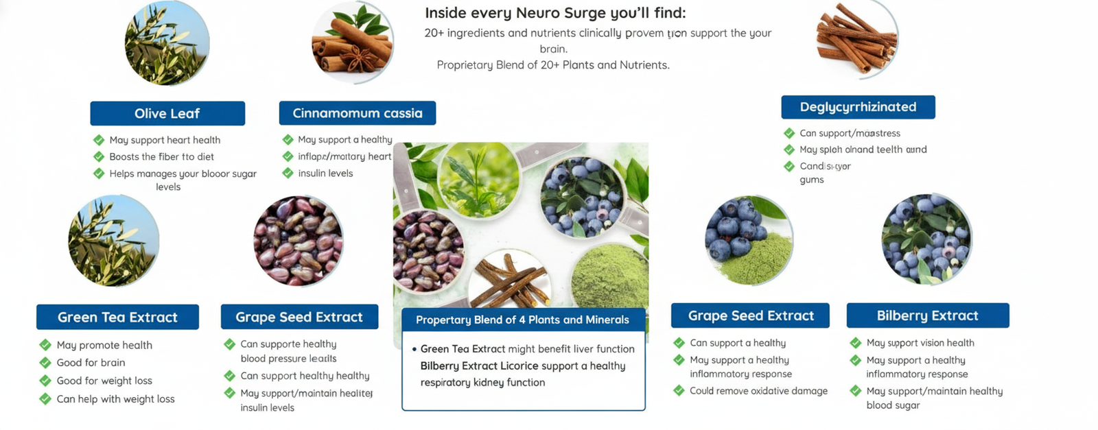 The Brain Song for Memory and Focus Improvement – Is It Real or Fake?