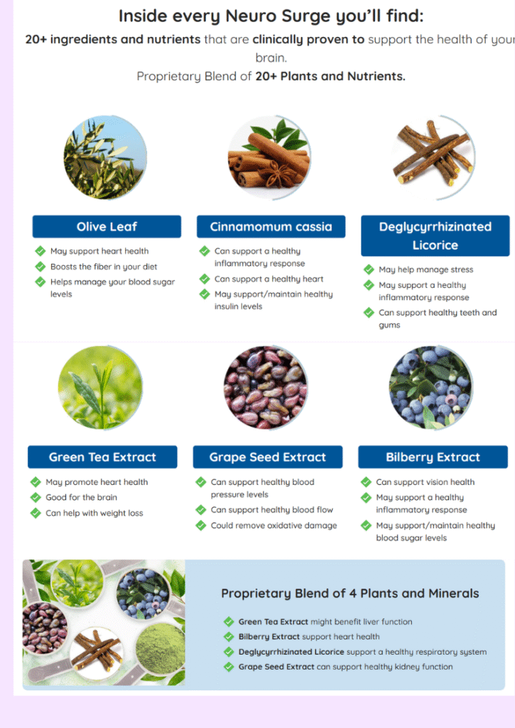 Best Nootropic Reddit 2025