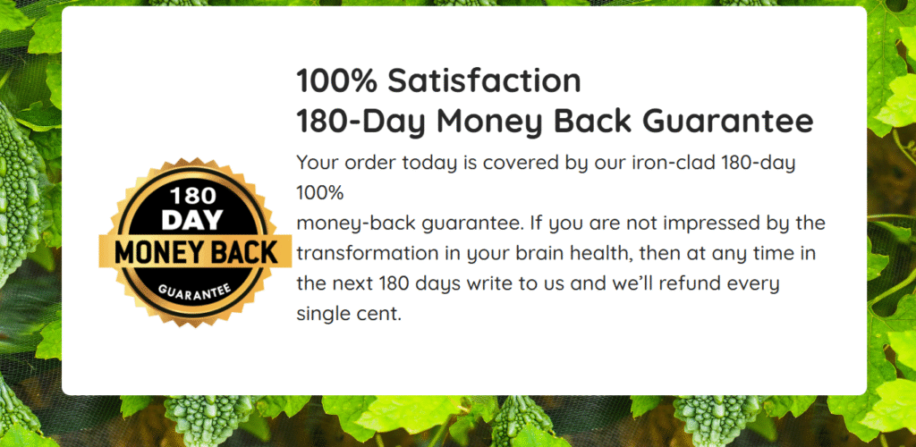 Best Nootropic Reddit 2025